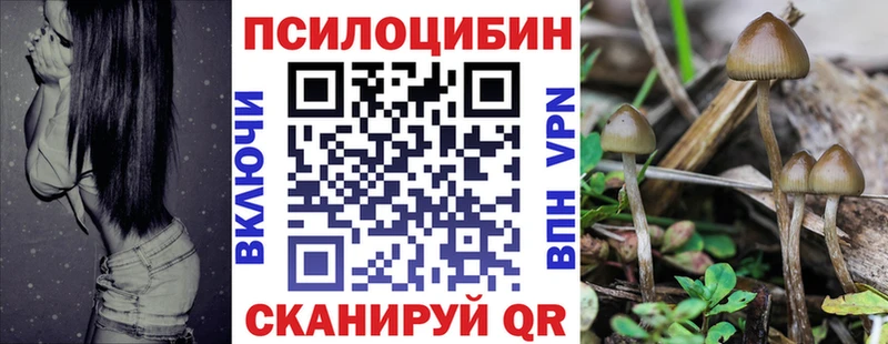 Галлюциногенные грибы ЛСД  Купить закладки  Гурьевск 